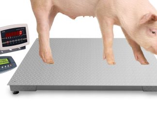 Waga platformowa - inwentarzowa 1500kg