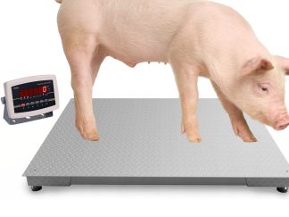 Waga platformowa - inwentarzowa 1500kg