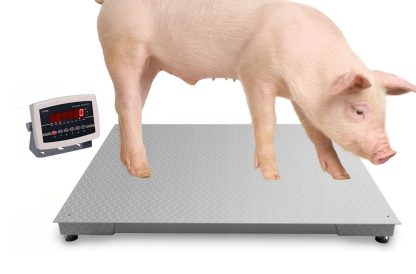 Waga platformowa - inwentarzowa 1500kg