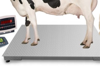 Waga platformowa – inwentarzowa 2,2m x 1,2m 3000kg